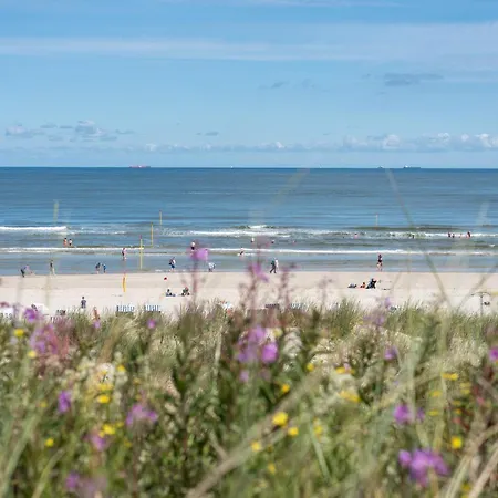 Noorderpad 5 Boven Deck *